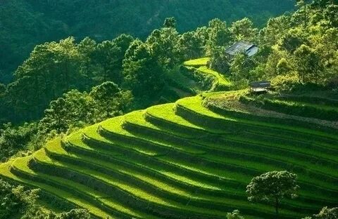 Cách Khởi Nghiệp Kiếm Tiền Bán Thời Gian Dành Cho Người Mới