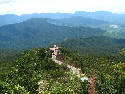 Từ
